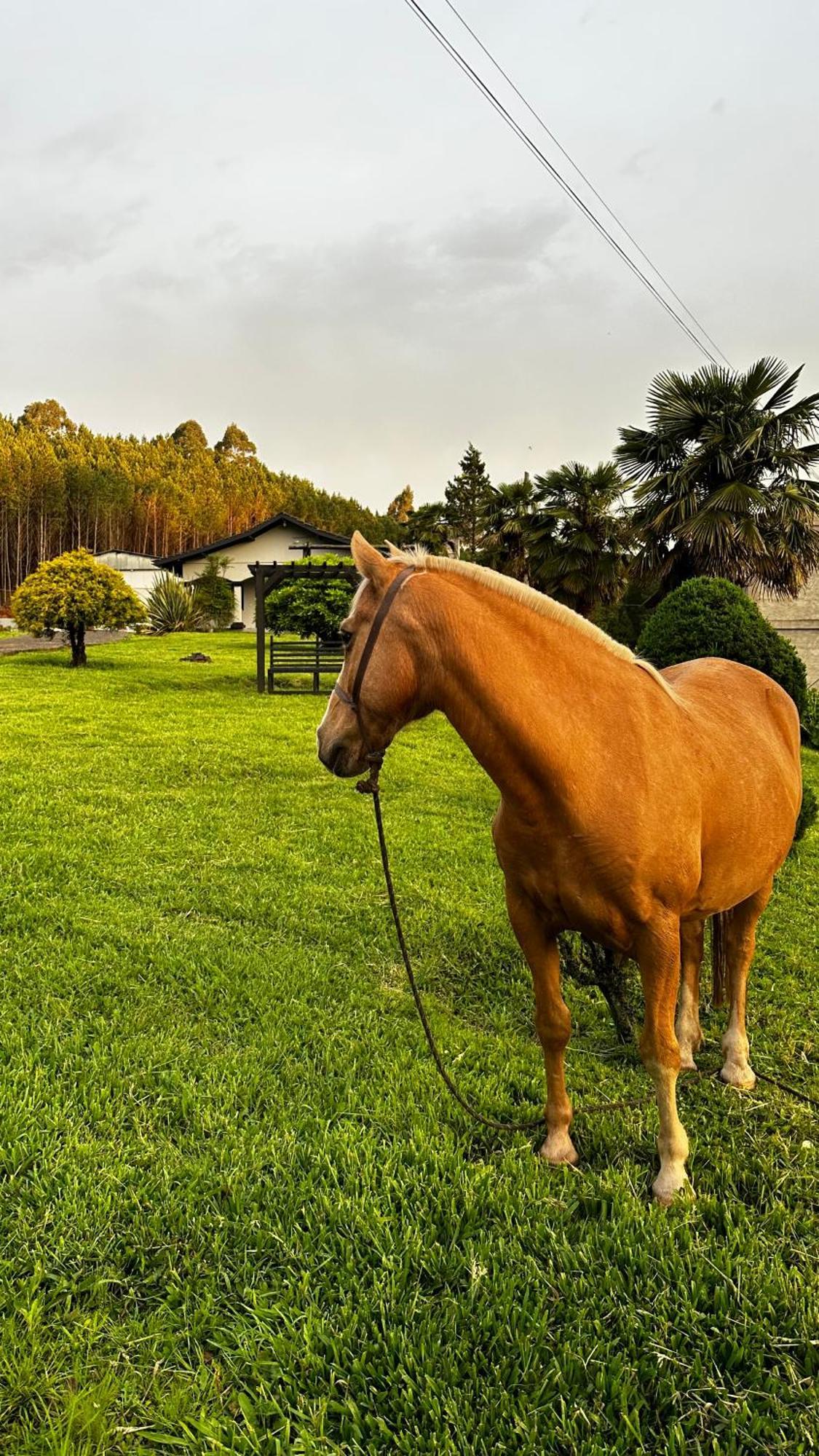 Bela Serra Pousada Bom Jardim da Serra Exterior foto